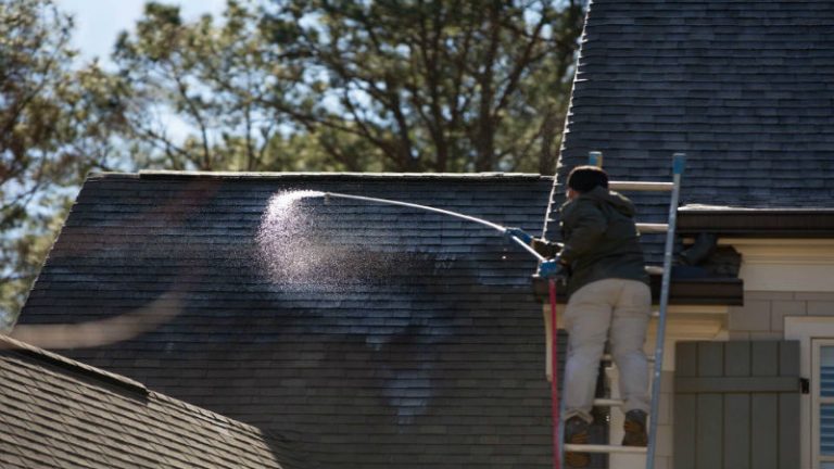 Roof Cleaning Services in Fayetteville – How Are Roofs Cleaned?