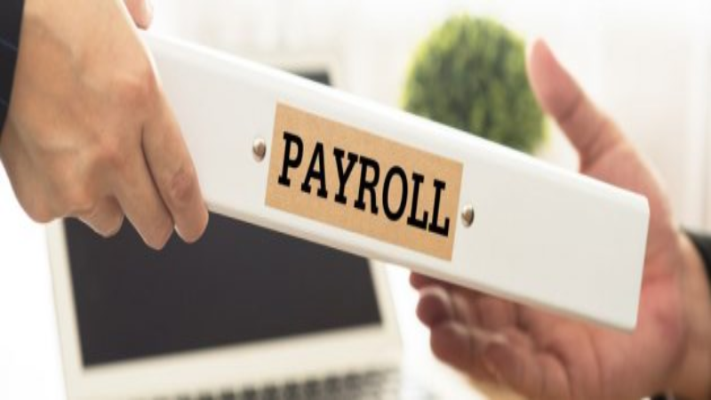 What to Know About Payroll Companies for Small Businesses