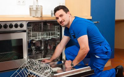 Top 5 Signs You Need Dishwasher Repair in Alexandria, VA