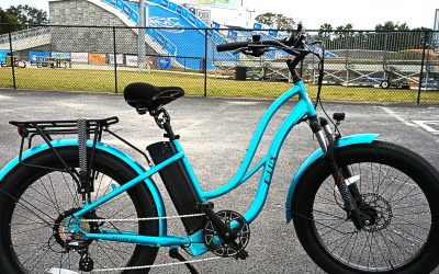 Comfortable Luxury Electric Bikes for the Road, Beach, Park, and More