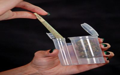 Exploring the Essentials of Weed Accessories to Enhance the Experience