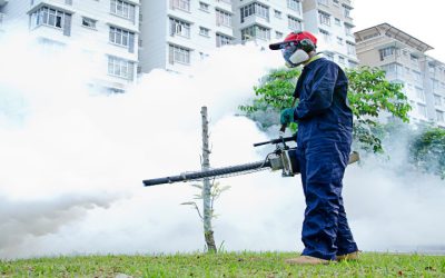 Enjoying the outdoors with mosquito barrier treatment in Naples, FL