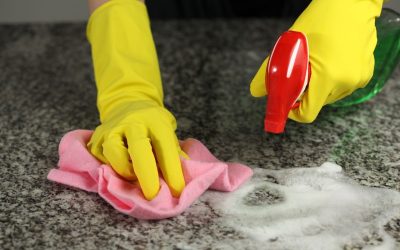 Spotless Spaces: Professional Maid Services in St. Louis, MO