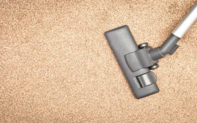 Commercial Carpet Cleaning Services in Westminster, CO: Elevating Workplace